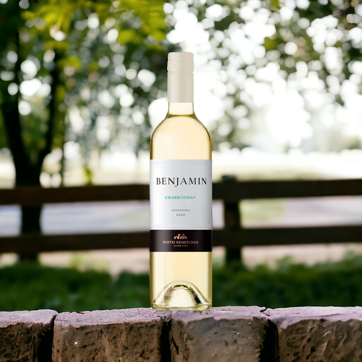 Vino blanco Chardonnay x750ml - Benjamin